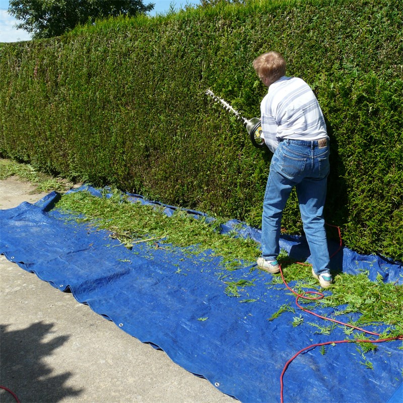 Abdeckplane Gewebeplane mit Ösen 2x3 m 180g/m² in Blau aus PE